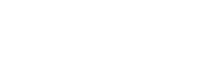 Tailored web services